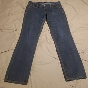 Express Stella Low Rise Jean